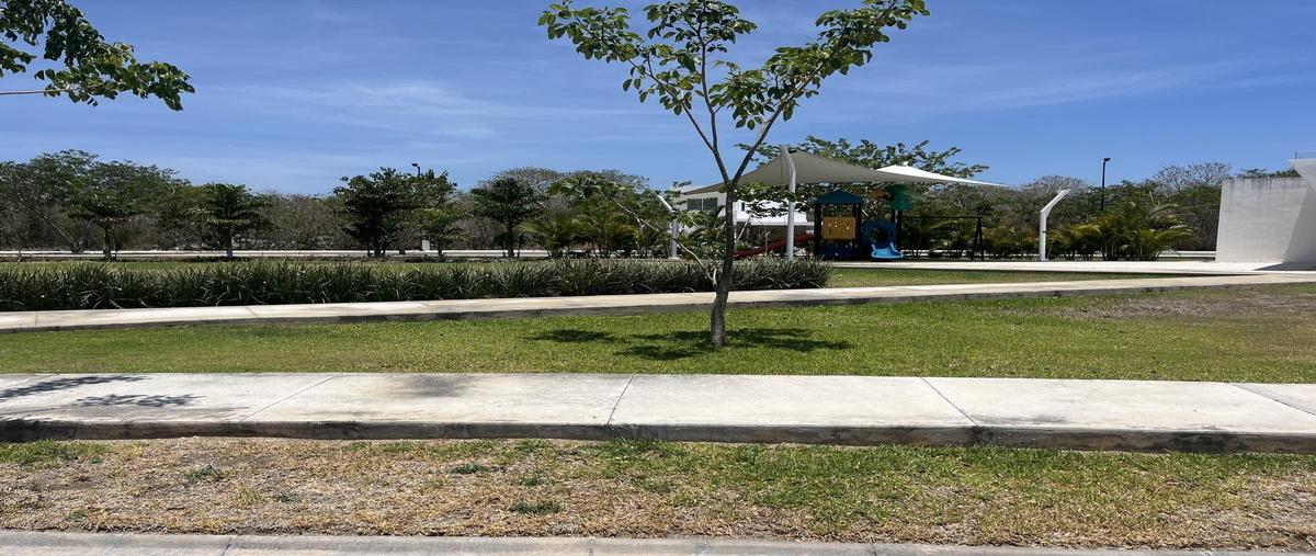 Foto de terreno habitacional en venta en  , kiktel, mérida, yucatán, 0 No. 05
