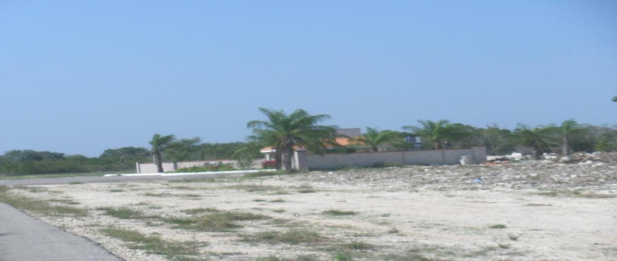 Foto de terreno habitacional en , kiktel, mérida, yucatán, 0 foto 03 Foto de terreno habitacional en venta en , kiktel, mérida, yucatán, 0 No. 03