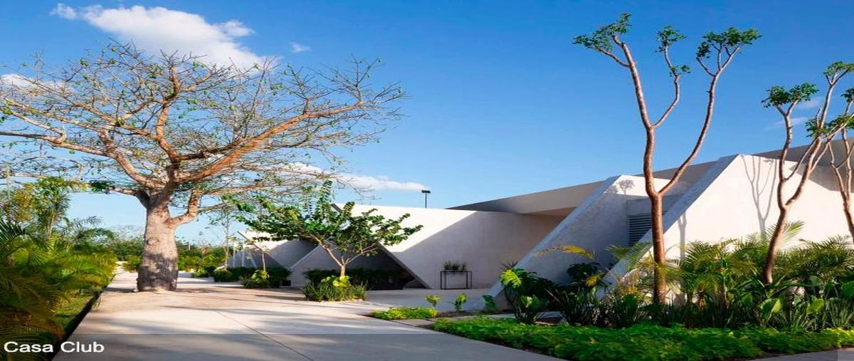 Foto de terreno habitacional en venta en  , kiktel, mérida, yucatán, 30525769 No. 03