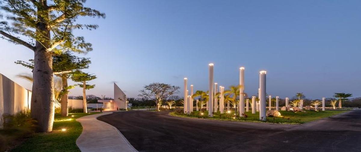 Foto de terreno habitacional en venta en  , kiktel, mérida, yucatán, 30525769 No. 05