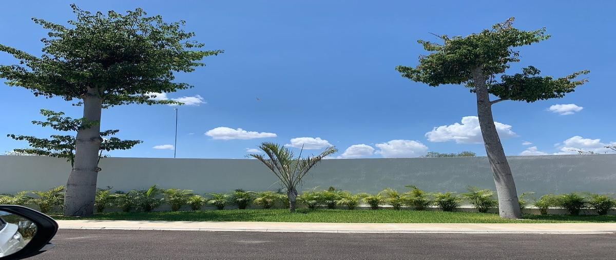 Foto de terreno habitacional en venta en  , kiktel, mérida, yucatán, 0 No. 04