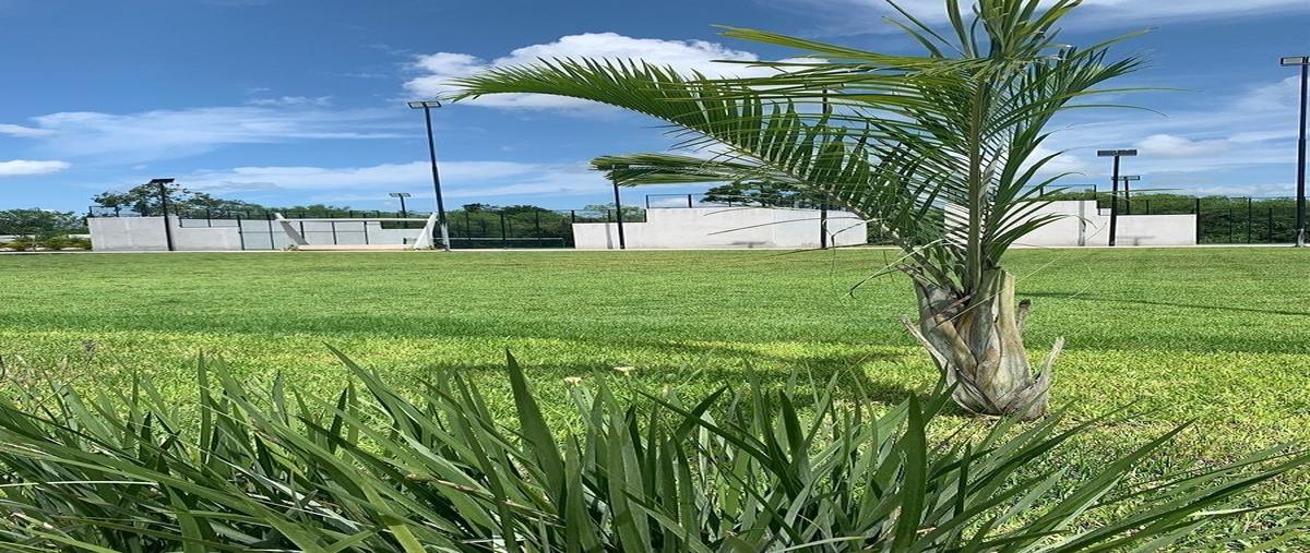 Foto de terreno habitacional en venta en  , kiktel, mérida, yucatán, 30766846 No. 06