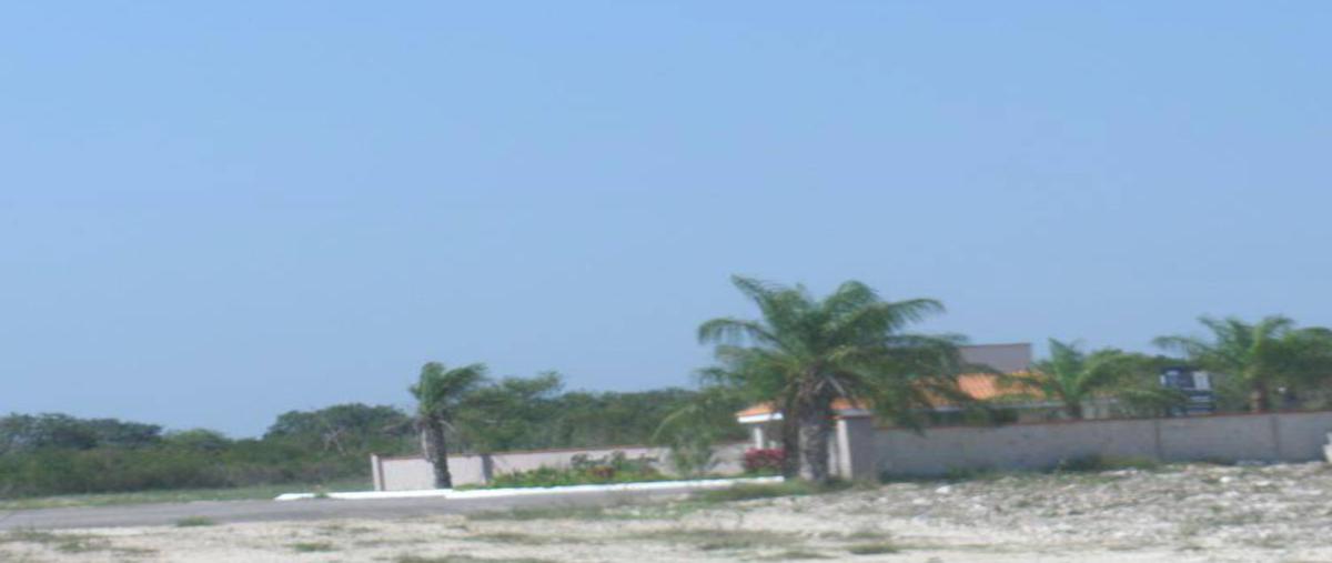 Foto de terreno habitacional en venta en  , kiktel, mérida, yucatán, 31012105 No. 03