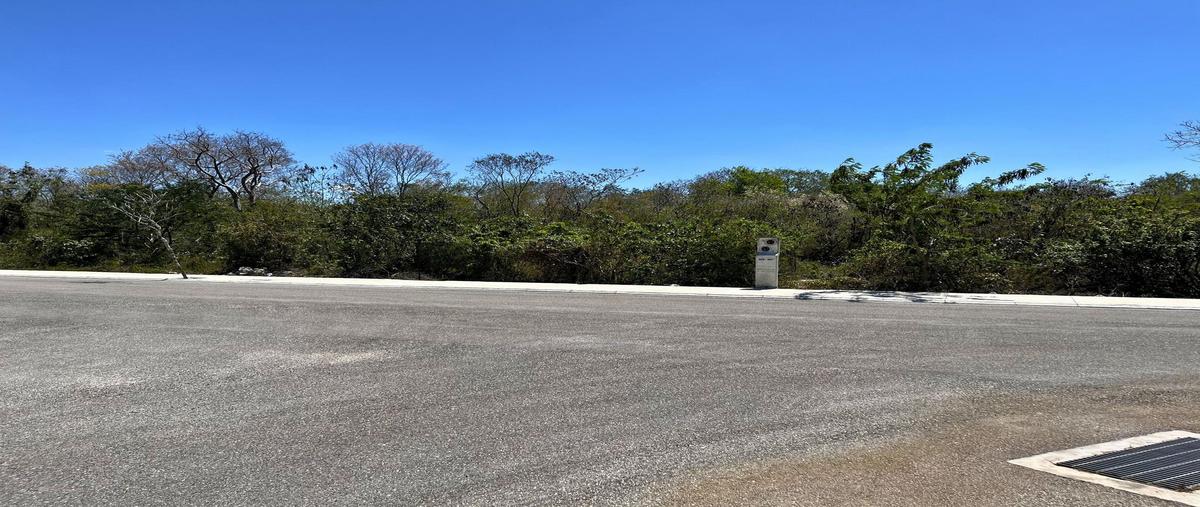 Foto de terreno habitacional en , kiktel, mérida, yucatán, 0 foto 05 Foto de terreno habitacional en venta en , kiktel, mérida, yucatán, 0 No. 05