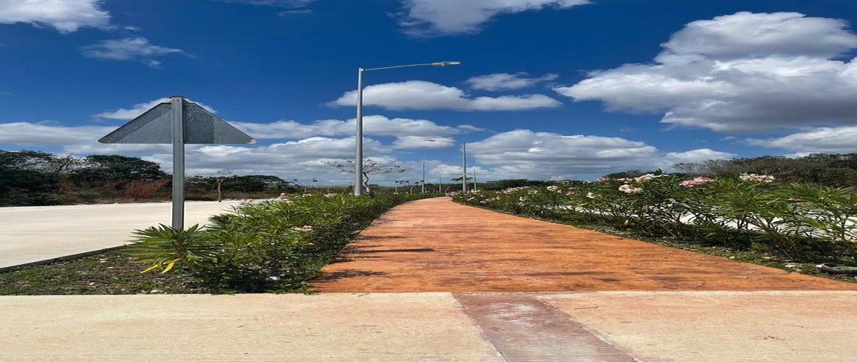 Foto de terreno habitacional en venta en  , kiktel, mérida, yucatán, 0 No. 03