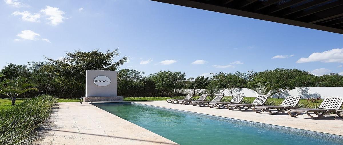 Foto de terreno habitacional en venta en  , kiktel, mérida, yucatán, 31081697 No. 05