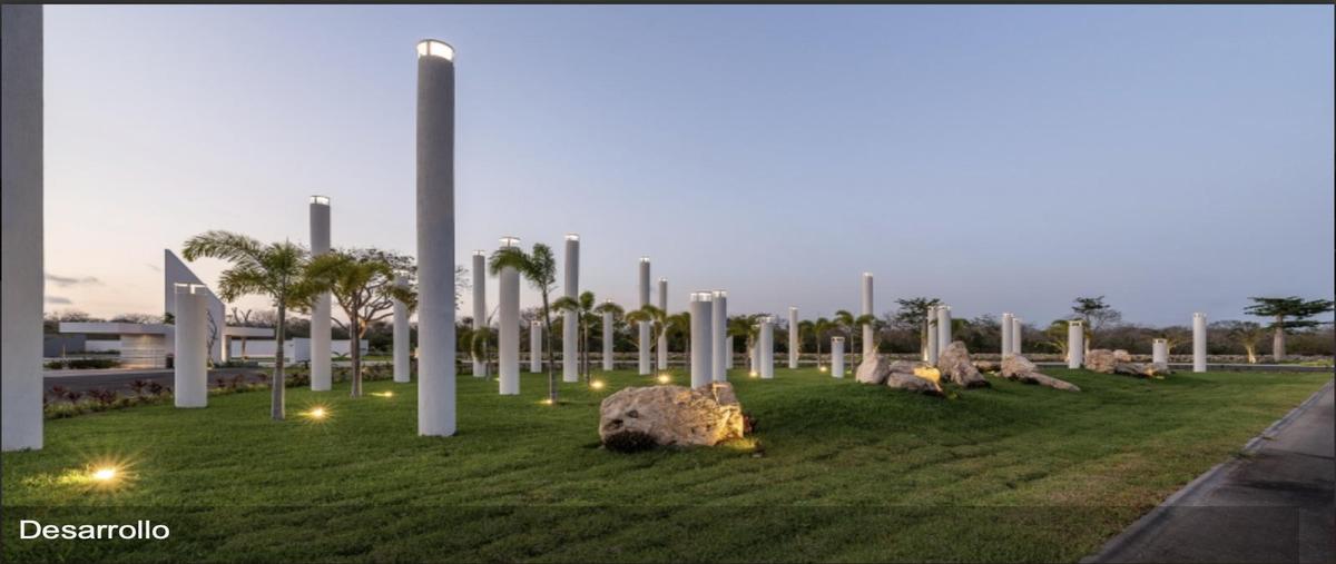 Foto de terreno habitacional en venta en  , kiktel, mérida, yucatán, 0 No. 05