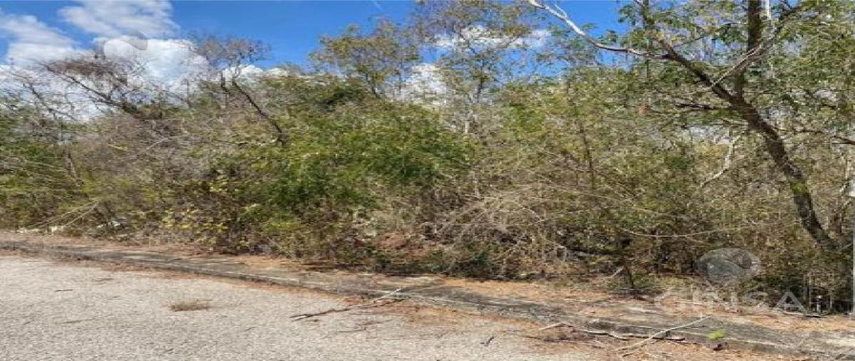 Foto de terreno habitacional en venta en  , kiktel, mérida, yucatán, 0 No. 03