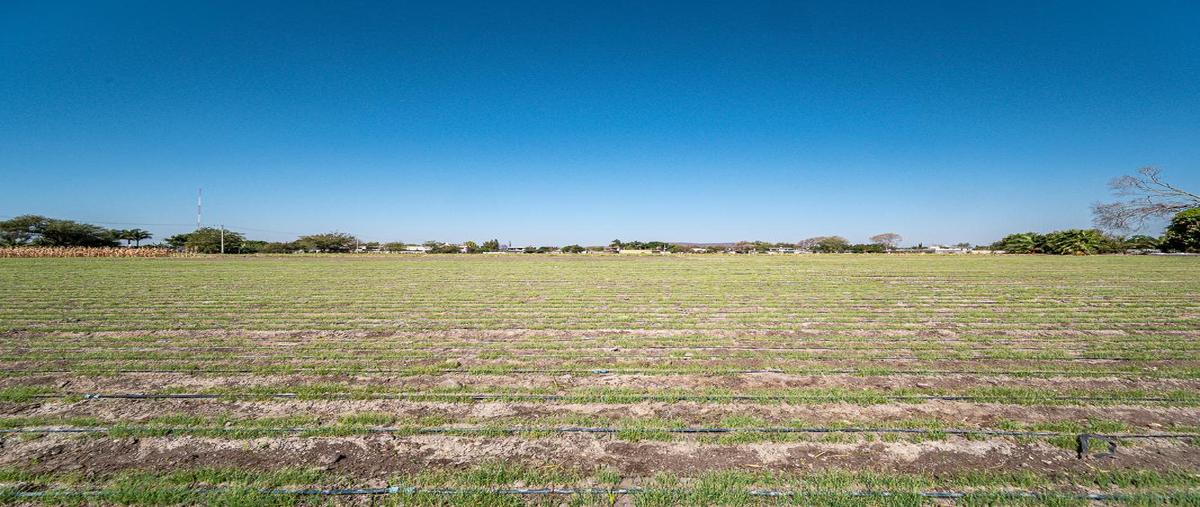 Foto de terreno habitacional en venta en kilometro 1 carretera huitzililla finca maya 10381, jaloxtoc, ayala, morelos, 26202564 No. 03