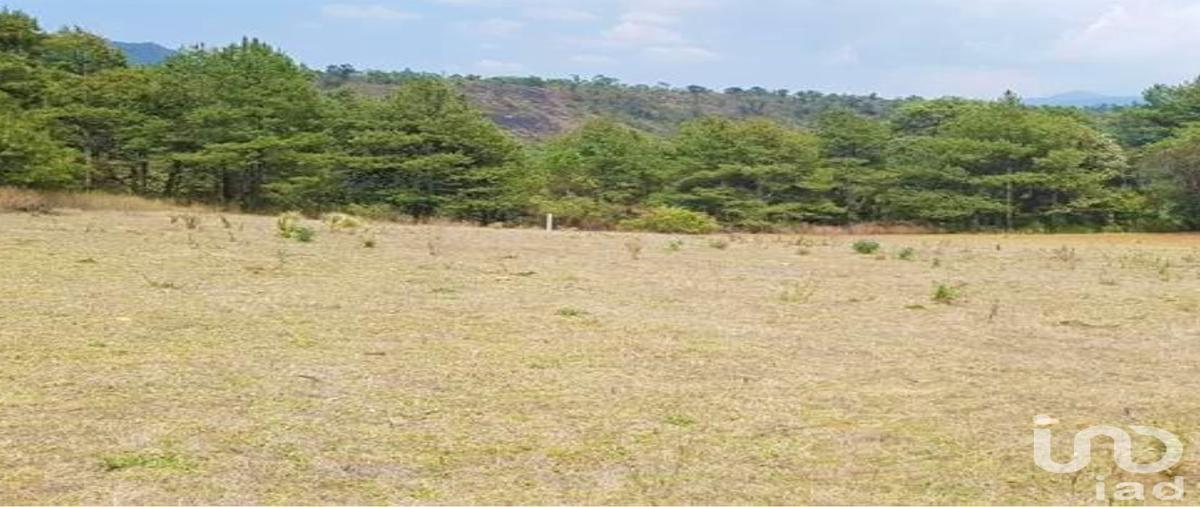 Foto de terreno habitacional en venta en kilometro 10 57, san gabriel ixtla, valle de bravo, méxico, 30273791 No. 04