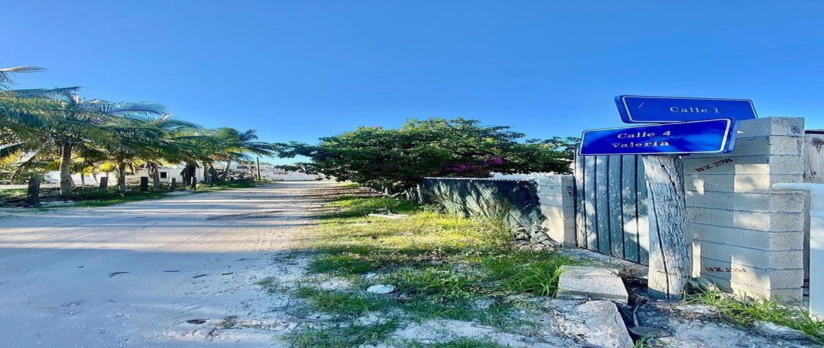 Foto de rancho en venta en kilometro 10 , chicxulub puerto, progreso, yucatán, 0 No. 06