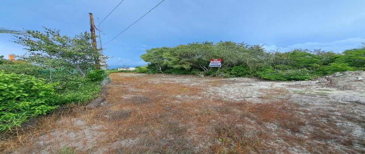 Foto de terreno habitacional en venta en kilometro 10 entrada agua azul chicxulub puerto , chicxulub puerto, progreso, yucatán, 28378509 No. 04