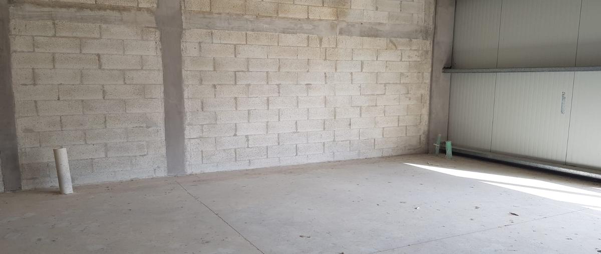 Foto de bodega en renta en kilometro 10 periférico de mérida , tixcacal opichen, mérida, yucatán, 28863835 No. 05