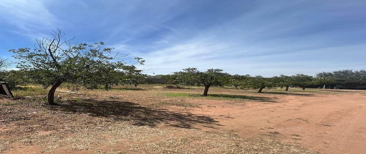 Foto de rancho en kilometro 11 , tabalaopa, chihuahua, chihuahua, 0 foto 05 Foto de rancho en venta en kilometro 11 , tabalaopa, chihuahua, chihuahua, 0 No. 05