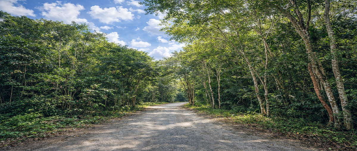 Foto de terreno habitacional en venta en kilometro 11.5 , puerto morelos, puerto morelos, quintana roo, 30882527 No. 03