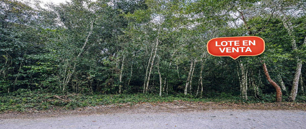 Foto de terreno habitacional en venta en kilometro 11.5 , puerto morelos, puerto morelos, quintana roo, 30882527 No. 04