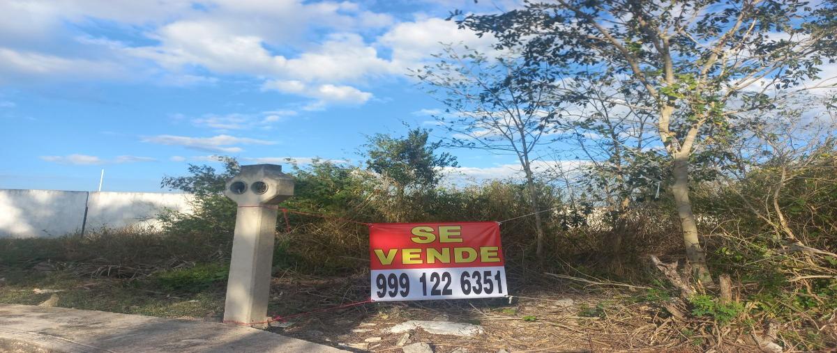 Foto de terreno habitacional en kilometro 1.2 carretera conkal-yaxkukul , yaxkukul, yaxkukul, yucatán, 27826666 foto 04 Foto de terreno habitacional en venta en kilometro 1.2 carretera conkal-yaxkukul , yaxkukul, yaxkukul, yucatán, 27826666 No. 04