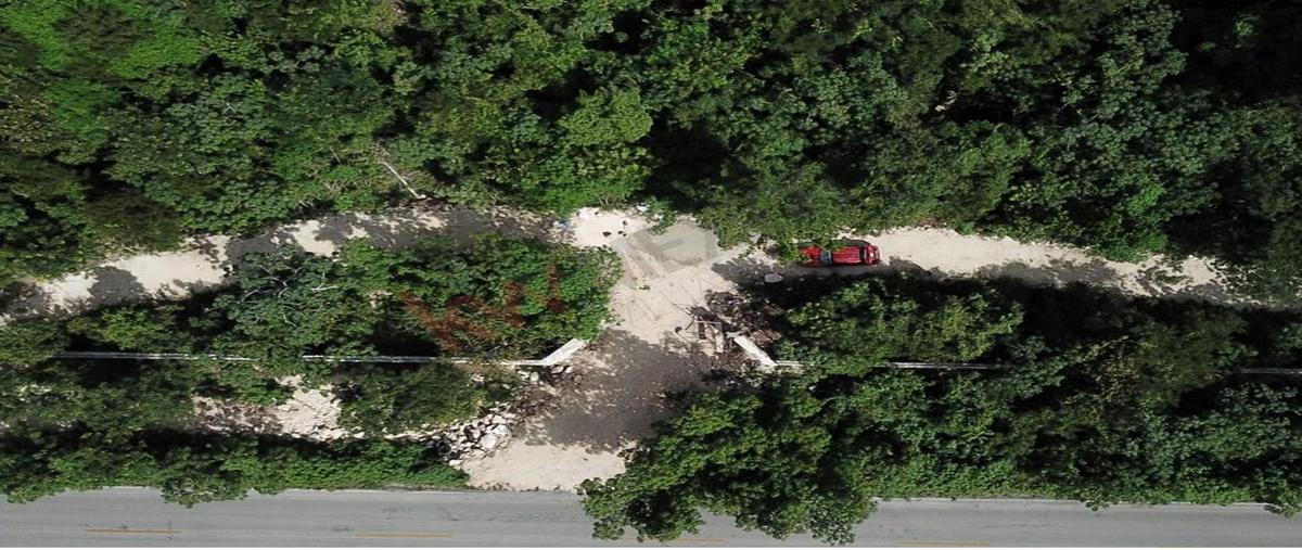 Foto de terreno habitacional en kilometro 12 carretera puerto morelos-leona vicario , puerto morelos, puerto morelos, quintana roo, 0 foto 01 Foto de terreno habitacional en venta en kilometro 12 carretera puerto morelos-leona vicario , puerto morelos, puerto morelos, quintana roo, 0 No. 01