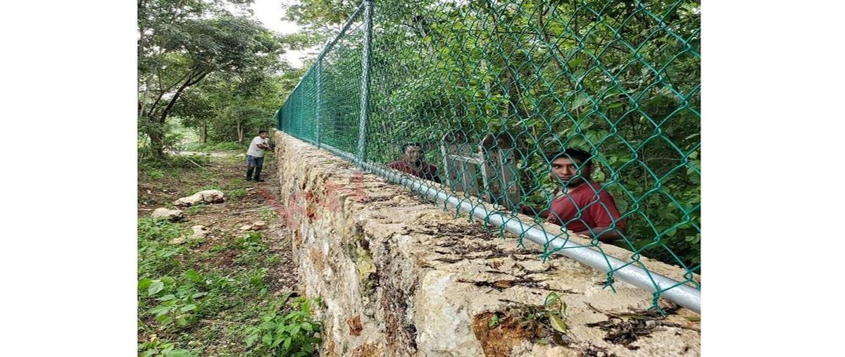 Foto de terreno habitacional en kilometro 12 carretera puerto morelos-leona vicario , puerto morelos, puerto morelos, quintana roo, 0 foto 05 Foto de terreno habitacional en venta en kilometro 12 carretera puerto morelos-leona vicario , puerto morelos, puerto morelos, quintana roo, 0 No. 05