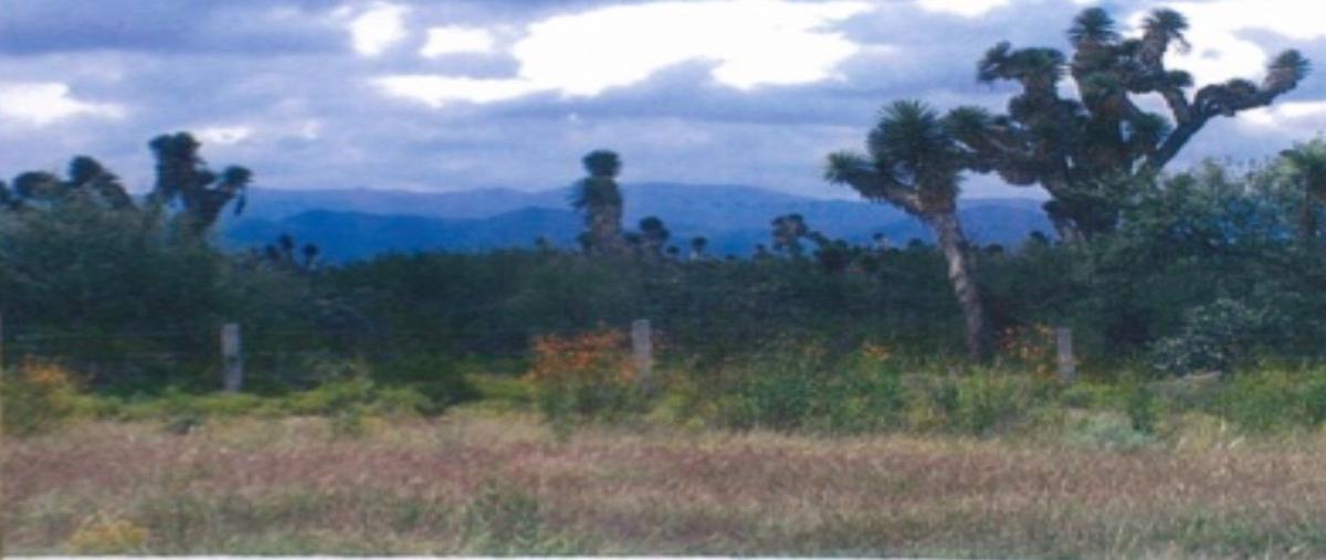 Foto de terreno habitacional en venta en kilometro 134./ carretera de matehuala a san luis potosí , matehuala, matehuala, san luis potosí, 27282215 No. 03