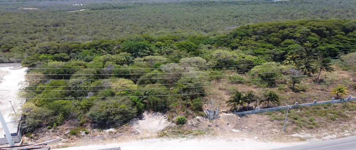 Foto de terreno comercial en kilometro 13.400 , puerto real, carmen, campeche, 24864313 foto 01 Foto de terreno comercial en renta en kilometro 13.400 , puerto real, carmen, campeche, 24864313 No. 01