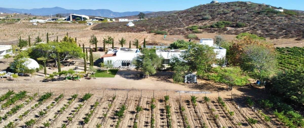 Foto de rancho en venta en kilómetro 15 , francisco zarco (valle de guadalupe), ensenada, baja california, 0 No. 01