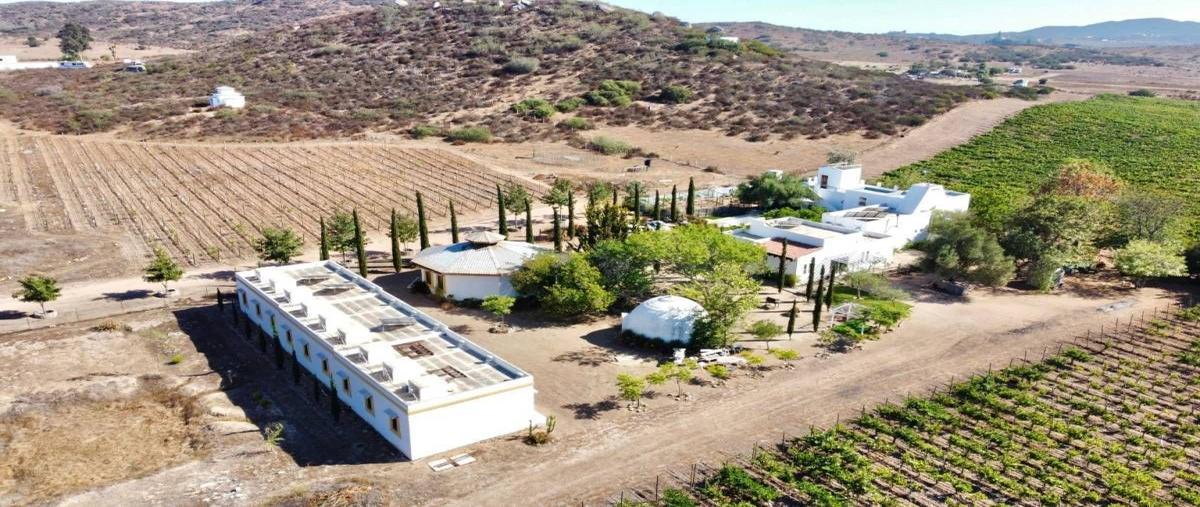 Foto de rancho en venta en kilómetro 15 , francisco zarco (valle de guadalupe), ensenada, baja california, 0 No. 03