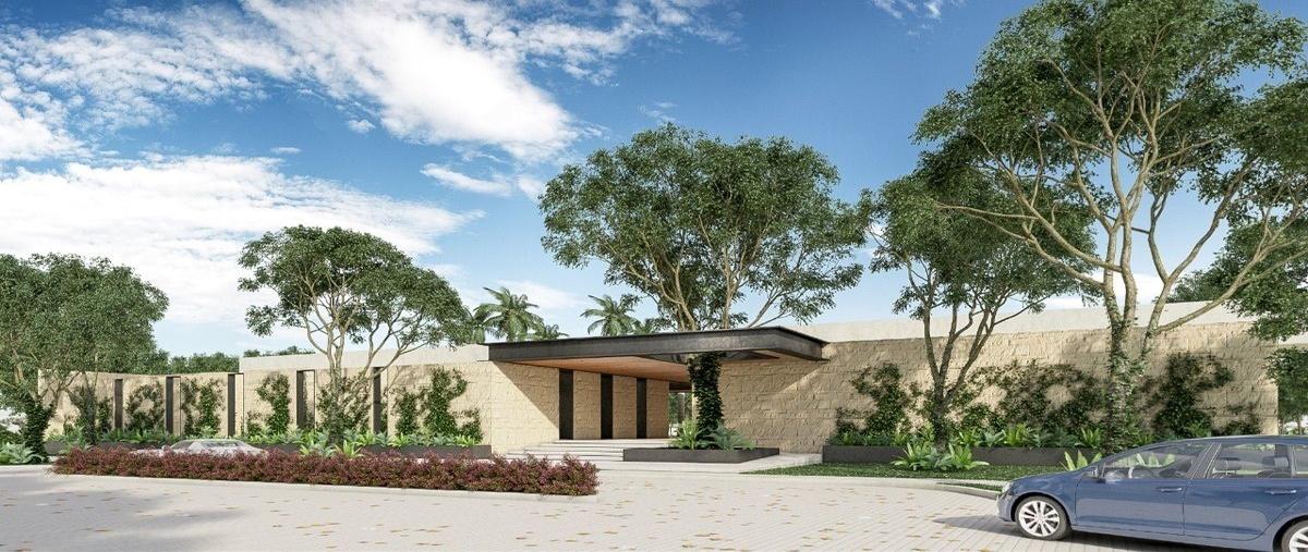 Foto de terreno habitacional en venta en kilometro 17 carretera mérida-progreso , mérida, mérida, yucatán, 28218339 No. 04