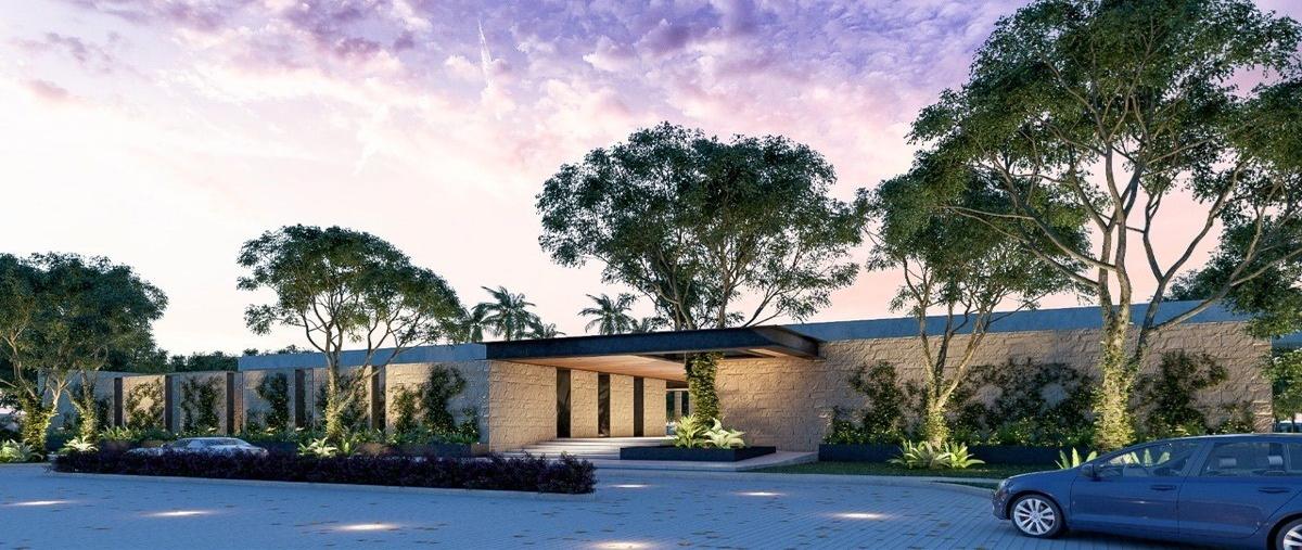 Foto de terreno habitacional en venta en kilometro 17 carretera mérida-progreso , mérida, mérida, yucatán, 28218339 No. 05