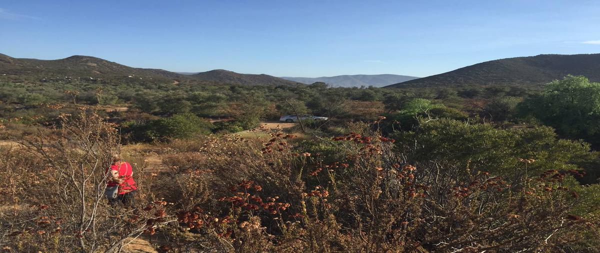 Foto de terreno habitacional en venta en kilometro 17 rumbo a ojos negros , ojos negros, ensenada, baja california, 2410469 No. 03