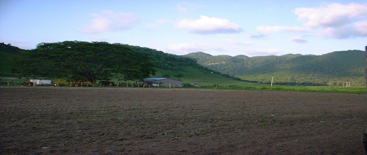 Foto de rancho en kilometro 19+000 , ribera piedra parada, ocozocoautla de espinosa, chiapas, 31081775 foto 04 Foto de rancho en venta en kilometro 19+000 , ribera piedra parada, ocozocoautla de espinosa, chiapas, 31081775 No. 04