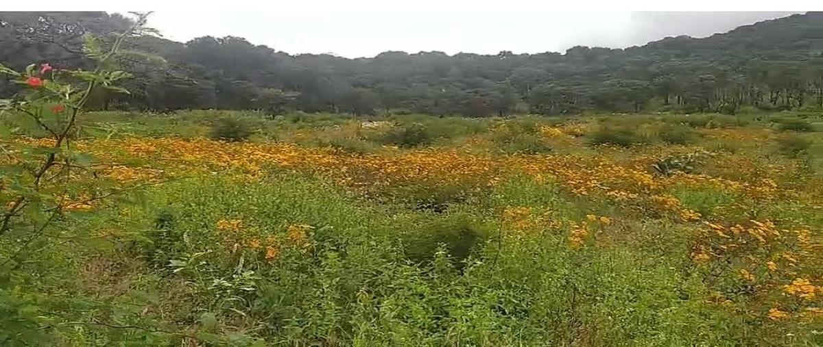 Foto de terreno habitacional en kilometro 20 , atemajac de brizuela, atemajac de brizuela, jalisco, 30781693 foto 01 Foto de terreno habitacional en venta en kilometro 20 , atemajac de brizuela, atemajac de brizuela, jalisco, 30781693 No. 01