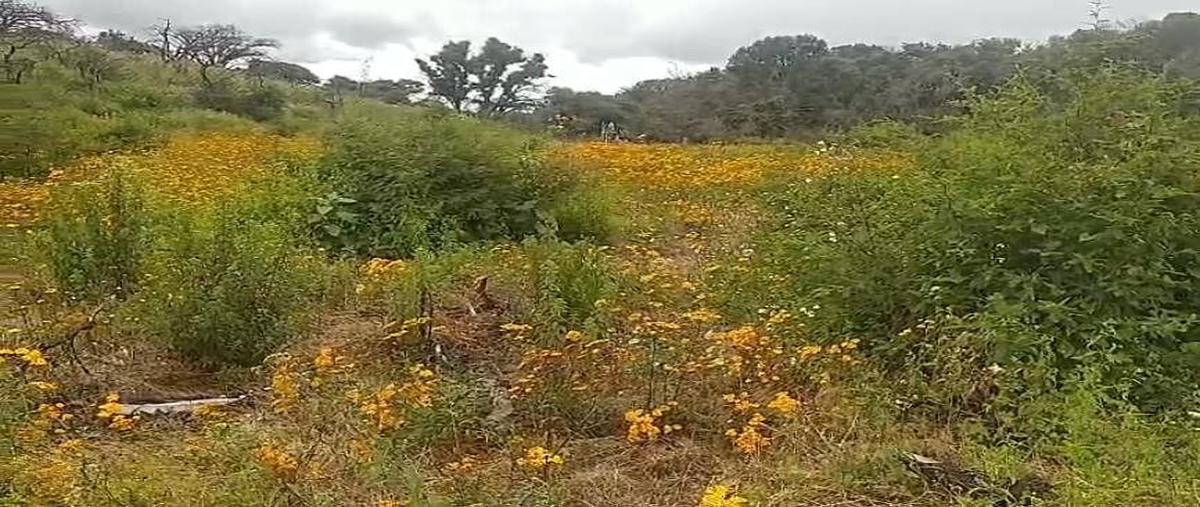 Foto de terreno habitacional en kilometro 20 , atemajac de brizuela, atemajac de brizuela, jalisco, 30781693 foto 02 Foto de terreno habitacional en venta en kilometro 20 , atemajac de brizuela, atemajac de brizuela, jalisco, 30781693 No. 02