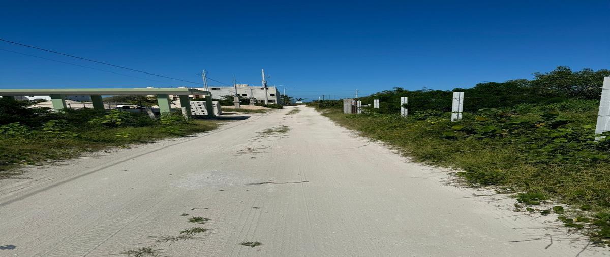 Foto de terreno habitacional en venta en kilometro 24 , chicxulub, chicxulub pueblo, yucatán, 28877846 No. 04