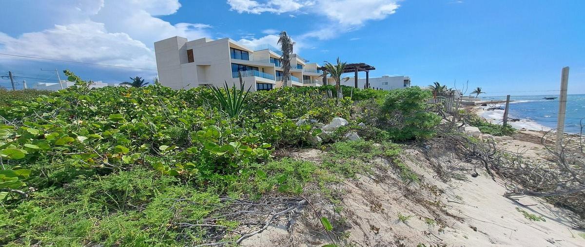 Foto de terreno habitacional en venta en kilometro 24 san benito carretera chicxulub a telchac puerto , san diego, dzemul, yucatán, 0 No. 03