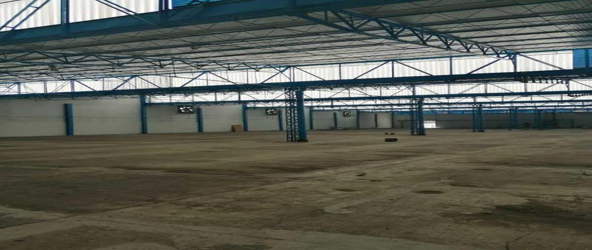 Foto de nave industrial en kilometro 24, santa cruz de arriba, texcoco, méxico, 25393945 foto 02 Foto de nave industrial en renta en kilometro 24, santa cruz de arriba, texcoco, méxico, 25393945 No. 02