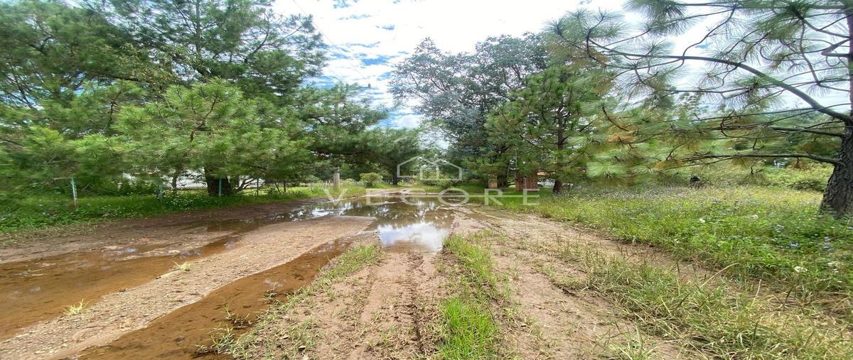 Foto de terreno habitacional en venta en kilometro 24 , tapalpa, tapalpa, jalisco, 25896899 No. 03