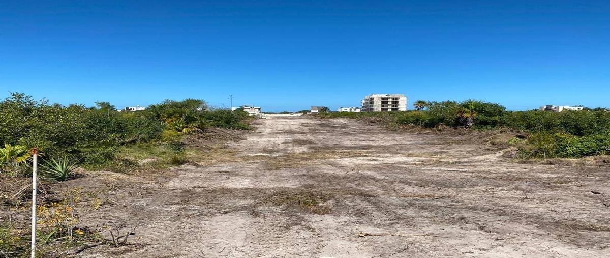 Foto de terreno habitacional en kilometro 24.5 carretera progreso telchac , san diego, dzemul, yucatán, 27069124 foto 05 Foto de terreno habitacional en venta en kilometro 24.5 carretera progreso telchac , san diego, dzemul, yucatán, 27069124 No. 05