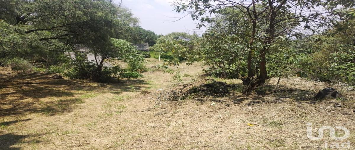 Foto de terreno habitacional en venta en kilometro 25 carretera fed-mex-cuernavaca , san andrés totoltepec, tlalpan, df / cdmx, 0 No. 03