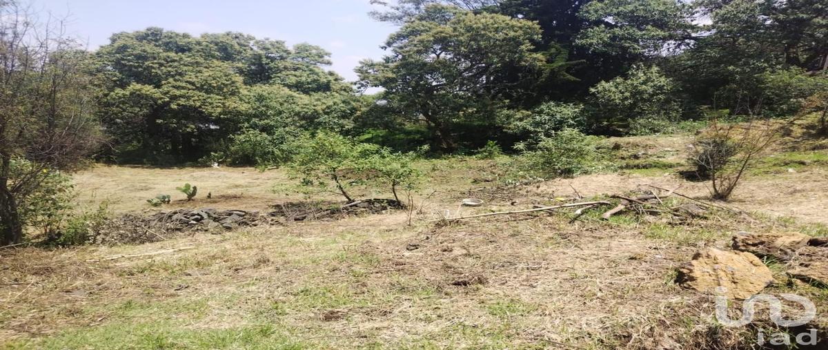 Foto de terreno habitacional en venta en kilometro 25 carretera fed-mex-cuernavaca , san andrés totoltepec, tlalpan, df / cdmx, 0 No. 04