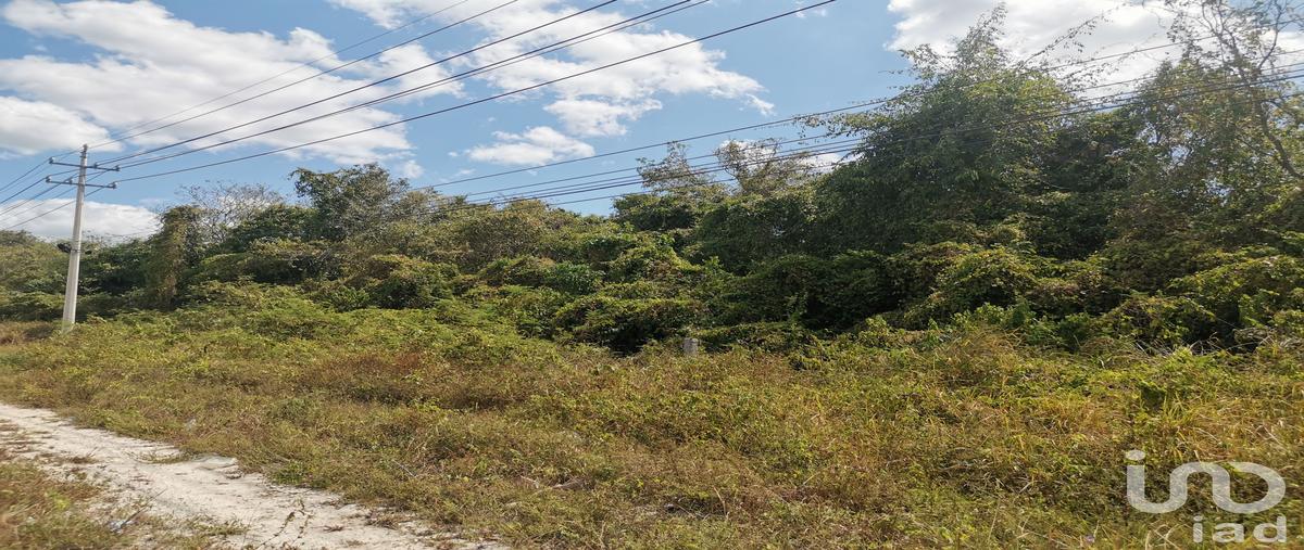 Foto de terreno comercial en venta en kilometro 26 carretera cancun tulum 131, supermanzana 34, benito juárez, quintana roo, 29882912 No. 03