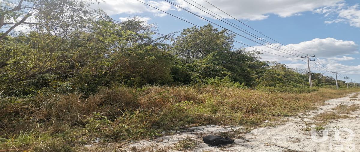 Foto de terreno comercial en venta en kilometro 26 carretera cancun tulum 131, supermanzana 34, benito juárez, quintana roo, 29882912 No. 04