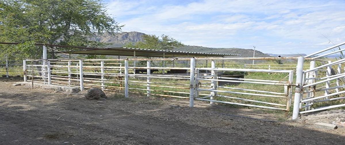 Foto de rancho en kilometro 26.5 , el escalón, san cristóbal de la barranca, jalisco, 0 foto 01 Foto de rancho en venta en kilometro 26.5 , el escalón, san cristóbal de la barranca, jalisco, 0 No. 01