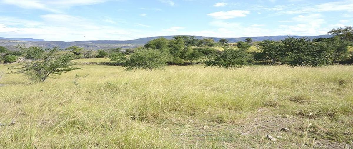 Foto de rancho en kilometro 26.5 , el escalón, san cristóbal de la barranca, jalisco, 0 foto 02 Foto de rancho en venta en kilometro 26.5 , el escalón, san cristóbal de la barranca, jalisco, 0 No. 02