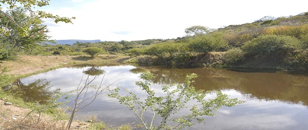 Foto de rancho en venta en kilometro 26.5 , el escalón, san cristóbal de la barranca, jalisco, 0 No. 04