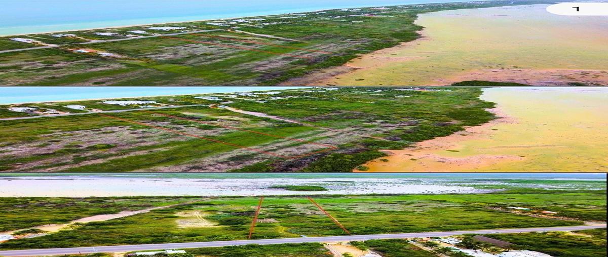 Foto de terreno habitacional en kilometro 27 carretera chicxulub a telchac puerto , san diego, dzemul, yucatán, 0 foto 01 Foto de terreno habitacional en venta en kilometro 27 carretera chicxulub a telchac puerto , san diego, dzemul, yucatán, 0 No. 01