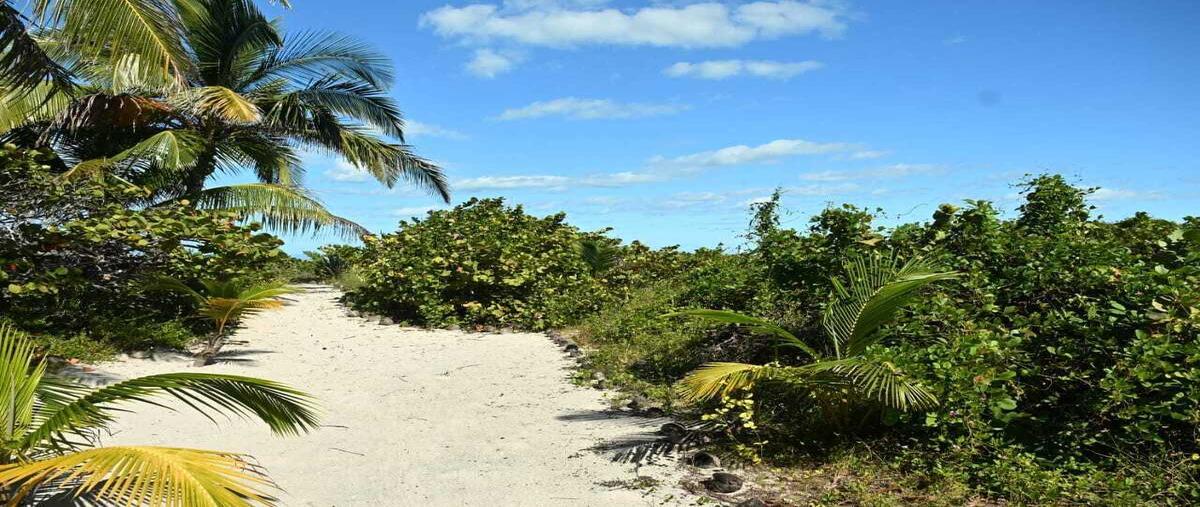 Foto de terreno habitacional en venta en kilometro 28 carretera progreso-telchac , san diego, dzemul, yucatán, 29550310 No. 05