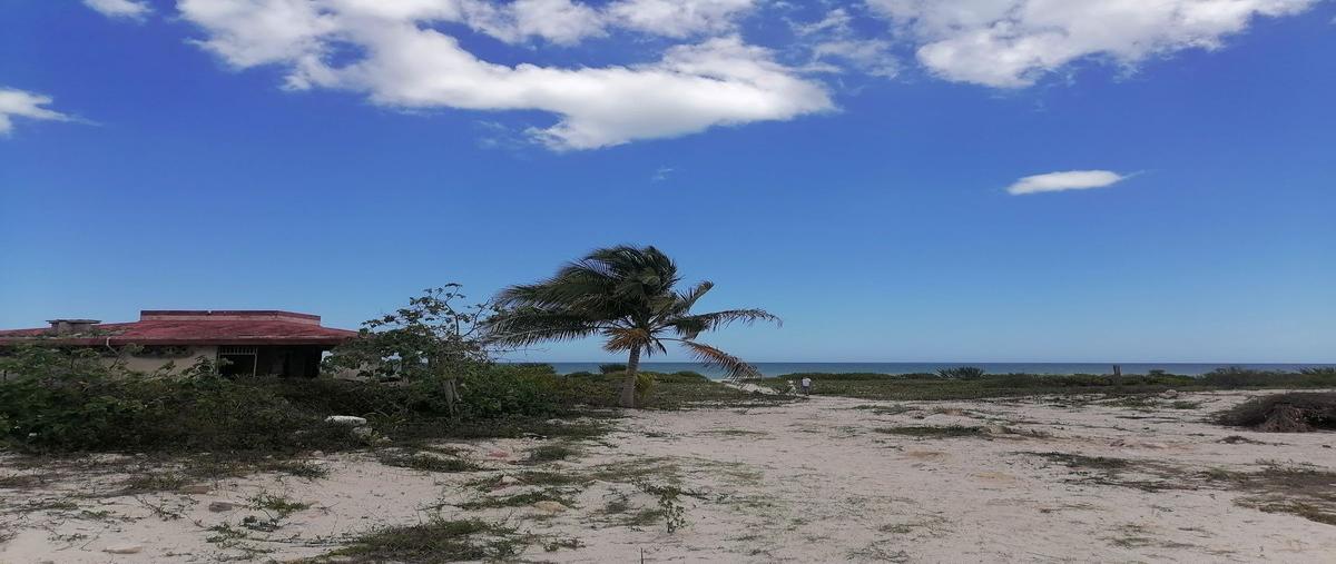 Foto de terreno habitacional en venta en kilometro 29 , telchac puerto, telchac puerto, yucatán, 26670247 No. 04