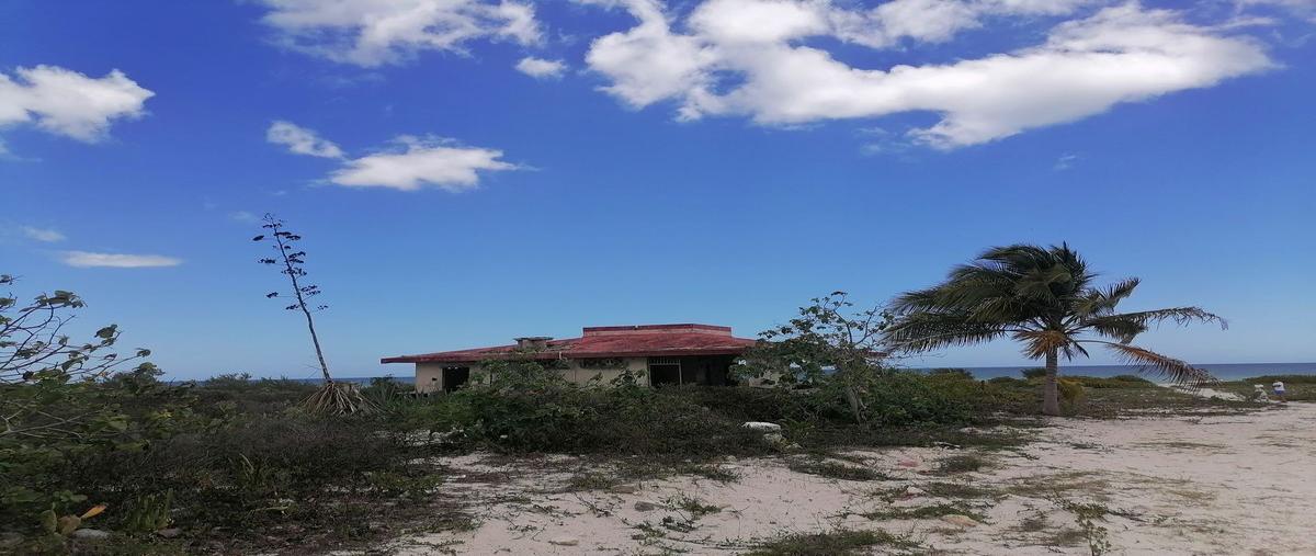 Foto de terreno habitacional en venta en kilometro 29 , telchac puerto, telchac puerto, yucatán, 26670247 No. 05