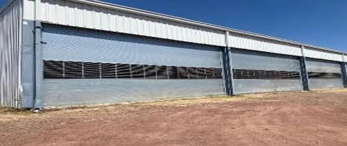 Foto de bodega en kilometro 3 carretera capilla , rinconada las lomas, el salto, jalisco, 0 foto 03 Foto de bodega en venta en kilometro 3 carretera capilla , rinconada las lomas, el salto, jalisco, 0 No. 03